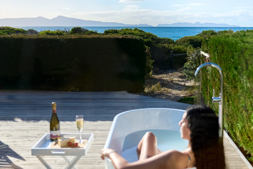 swansea holiday rentals