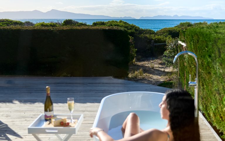 swansea holiday rentals